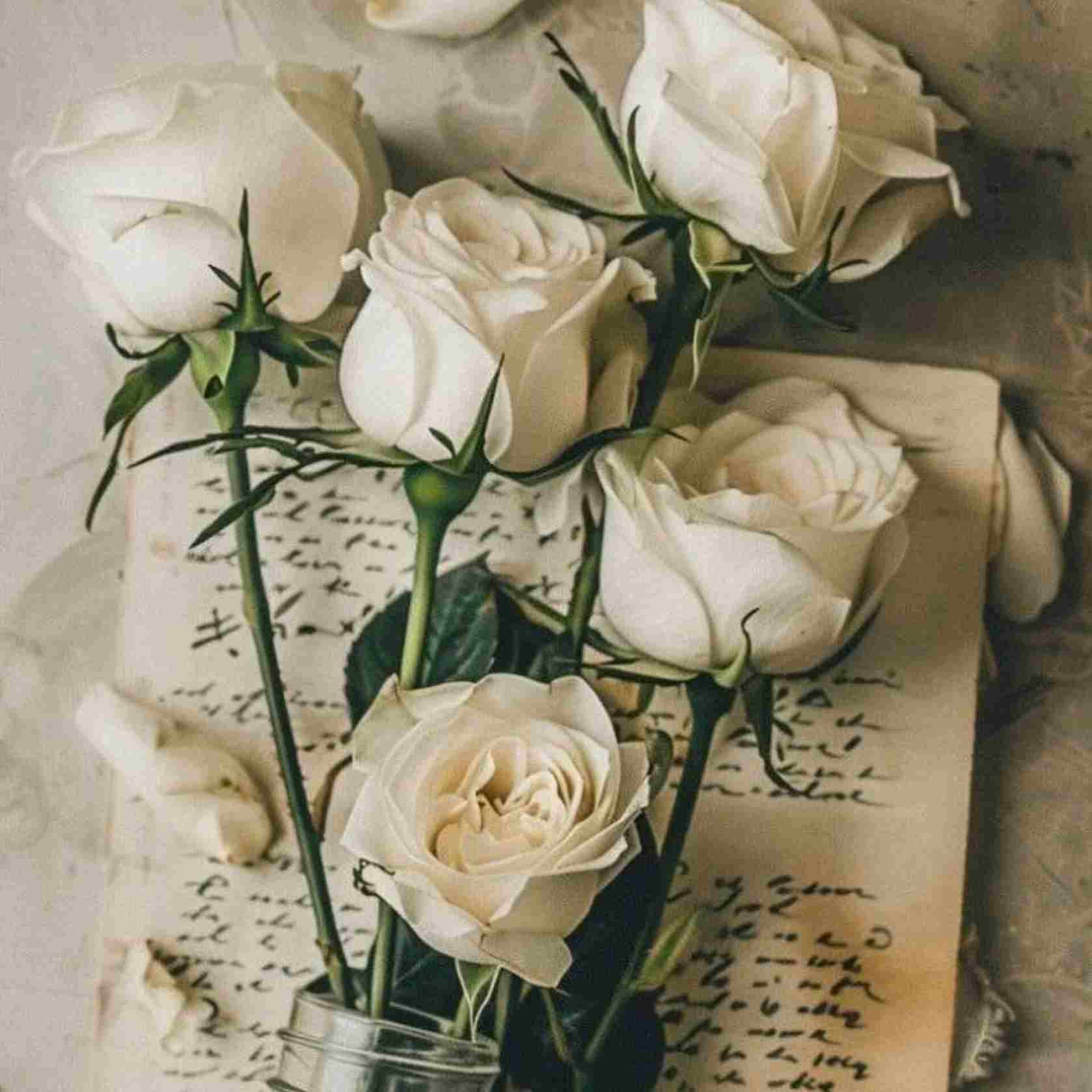 آهنگ جدید  سلام عشقم من میخوام با تو بمونم